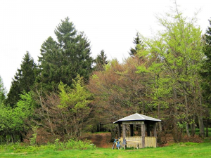 Schutzhütte-unterhalb-des-kieferle