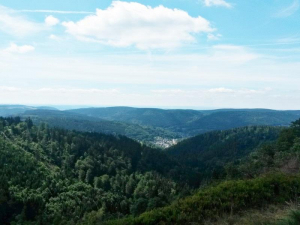 blick-vom-großen-tierberg