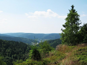 blick-vom-kleinen-tierberg