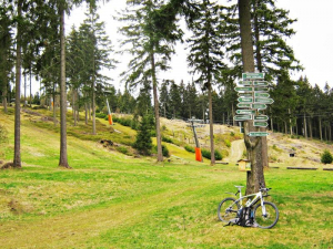 im-skigebiet-unterhalb-des-pappenheimer