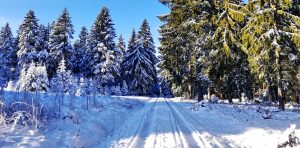 Winter am 23.11.25 in Neunhaus am Rennweg